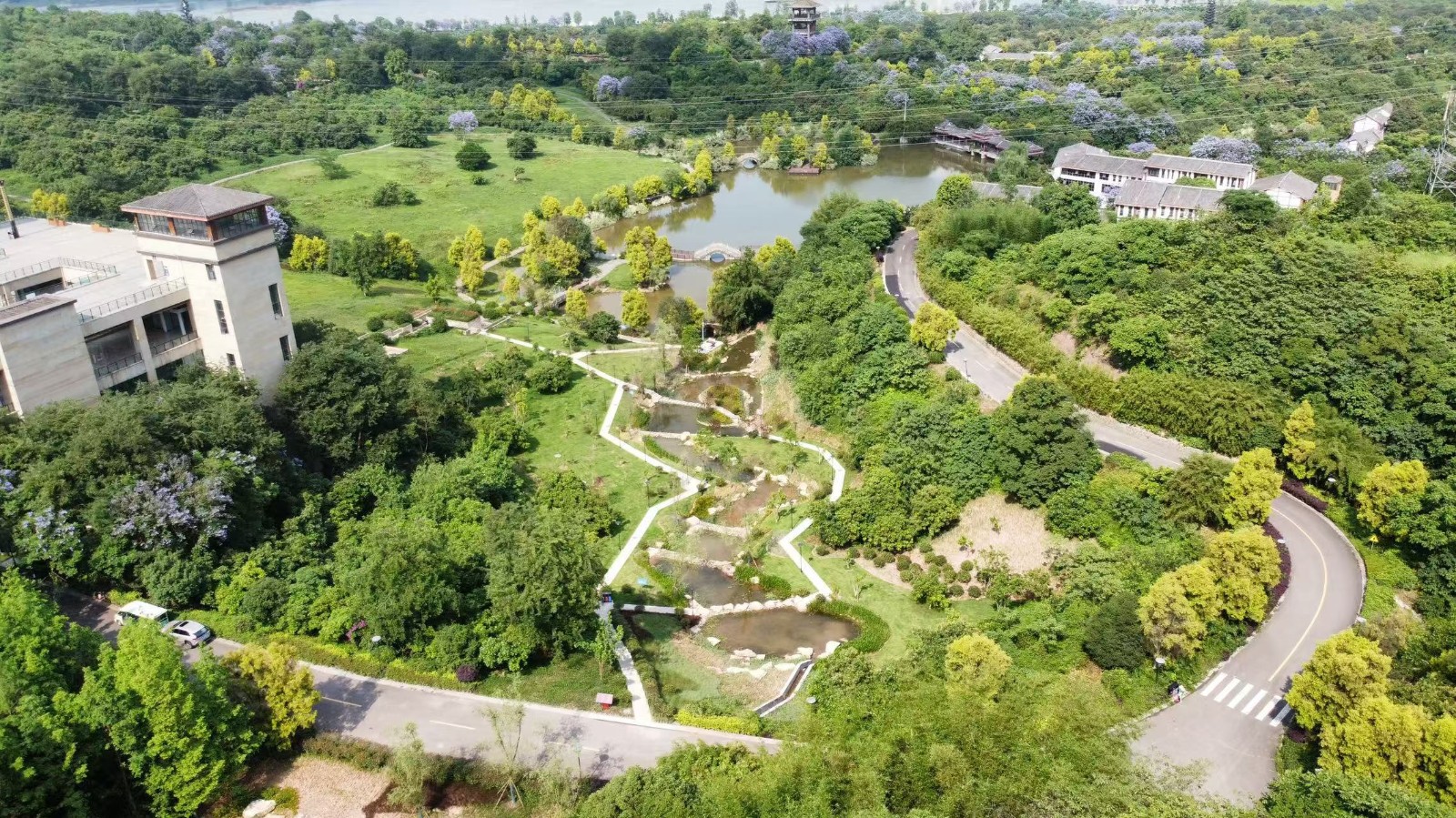 金沙bjs线路检测中心园林绿化维护